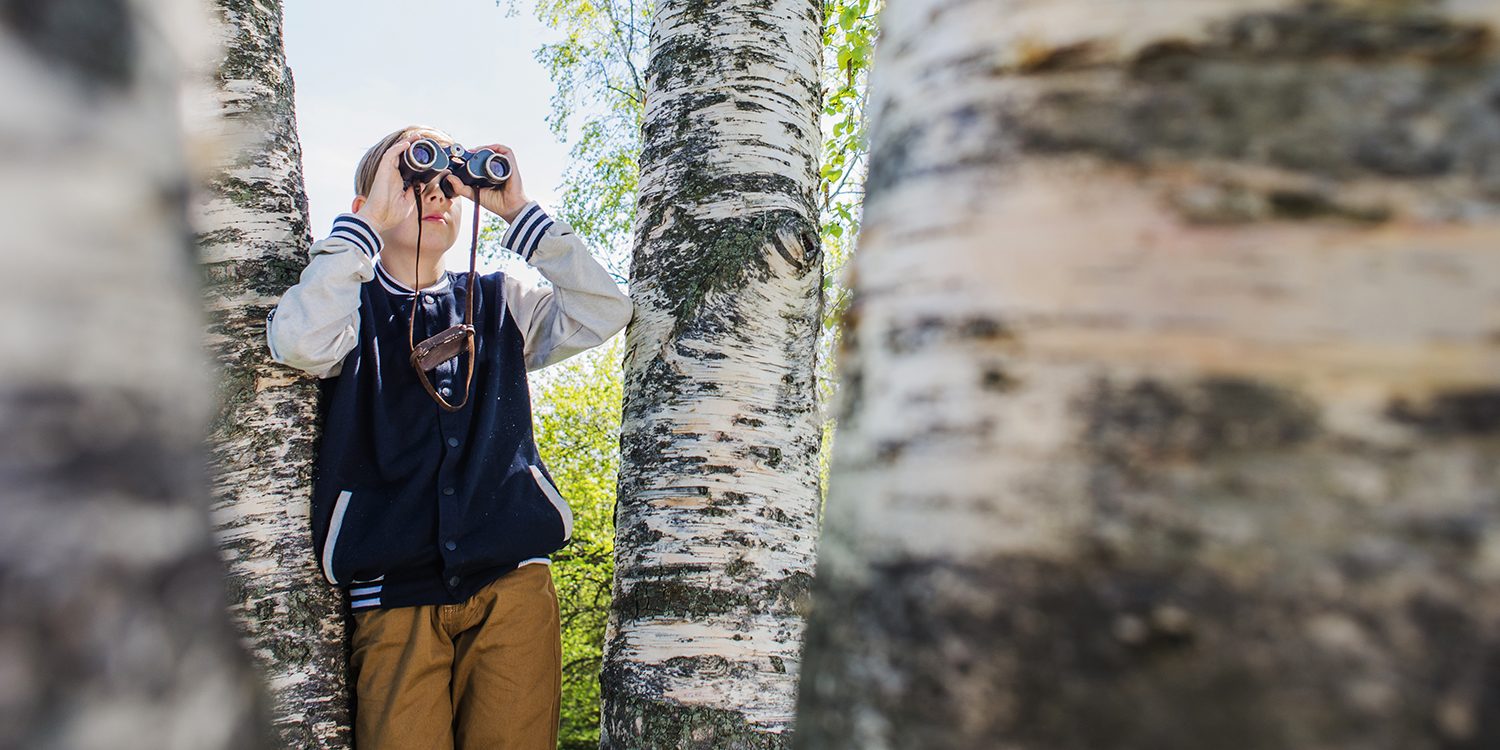 dönüştürücü merak